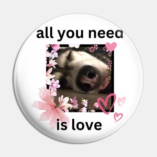 Funny Cute Sleeping Husky Dog Love Quote Pin