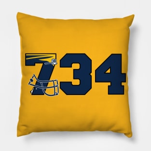 734 Ann Arbor Pride Pillow