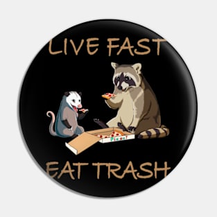 Urban Chic Raccoon Graphic Merch Pin