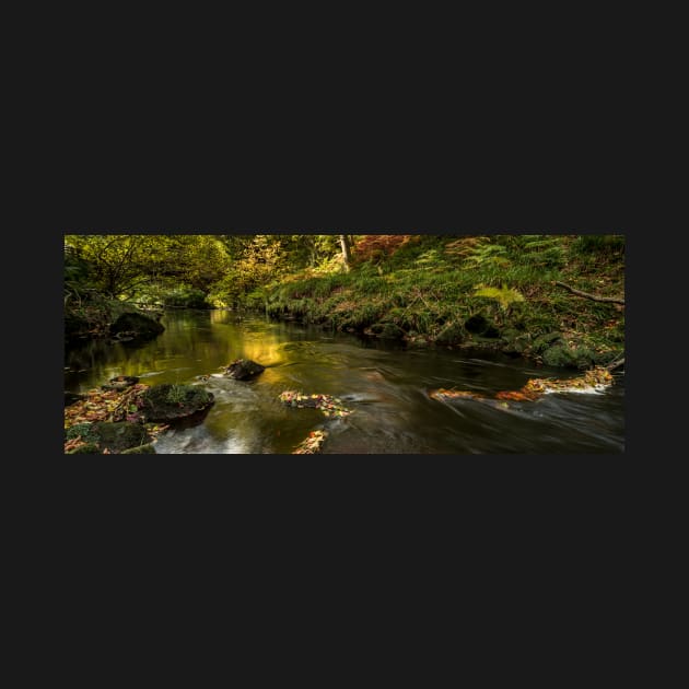 West Beck, Gothland, North Yorkshire by davehudspeth