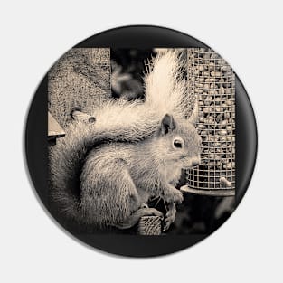 Squirrel in the Garden Pin