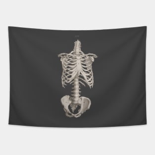 Vintage Medical Anatomy Skeleton Chest Medicine Tapestry