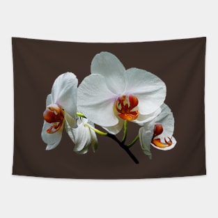 Orchids - White Orchids With Orange Center Tapestry