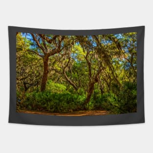 Cumberland Island National Seashore Tapestry