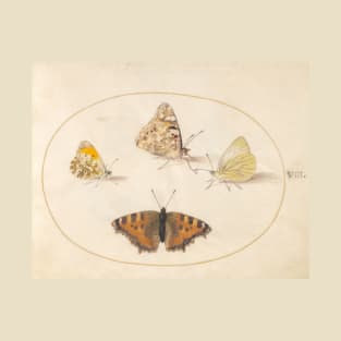 Orange Tip, Painted Lady, Southern Small White, and Small Tortoiseshell Butterflies T-Shirt