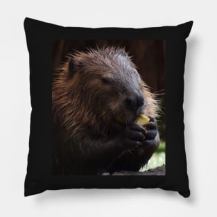 North America Beaver Pillow