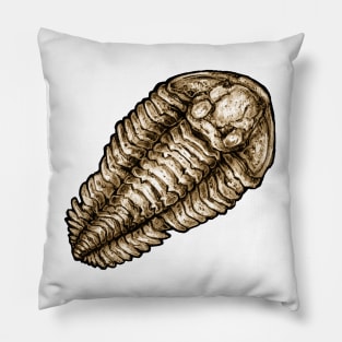 Calymene Trilobite Fossil Sticker Pillow