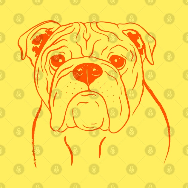 English Bulldog (Yellow and Orange) by illucalliart