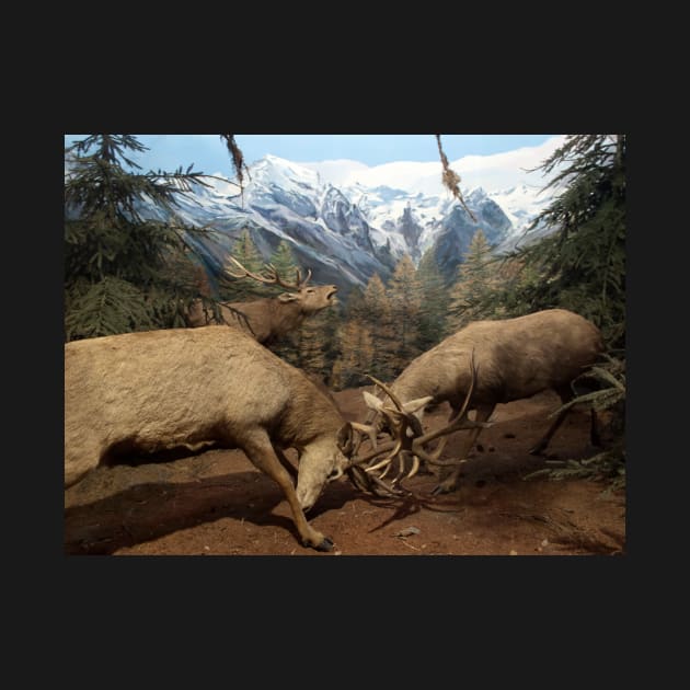 Natural environment diorama - Two deers fighting by Reinvention