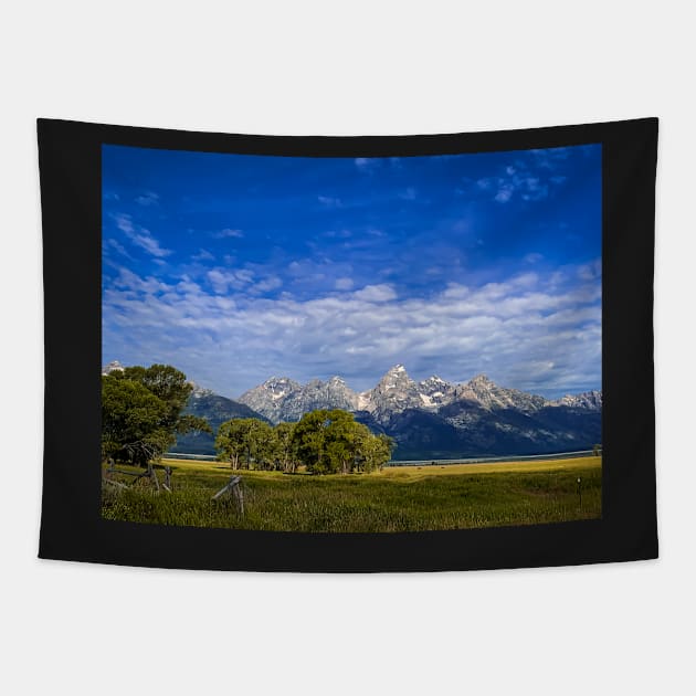 Tetons Tapestry by Ckauzmann