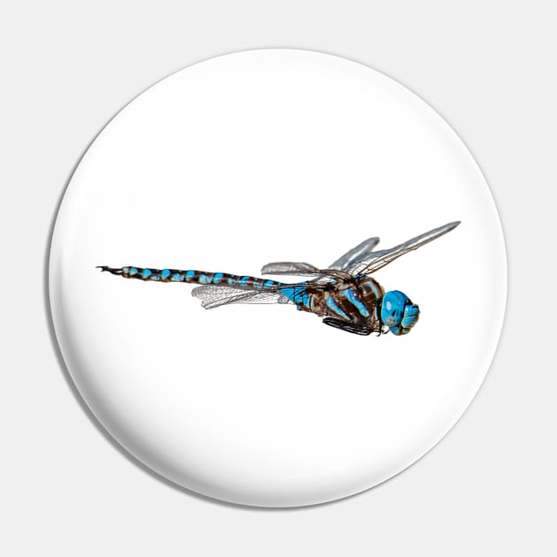 Dragon Fly Pin by gdb2