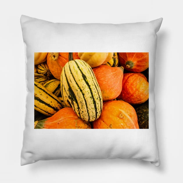 Autumn Medley Pillow by thadz