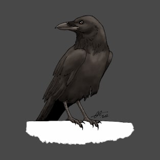 The Raven T-Shirt