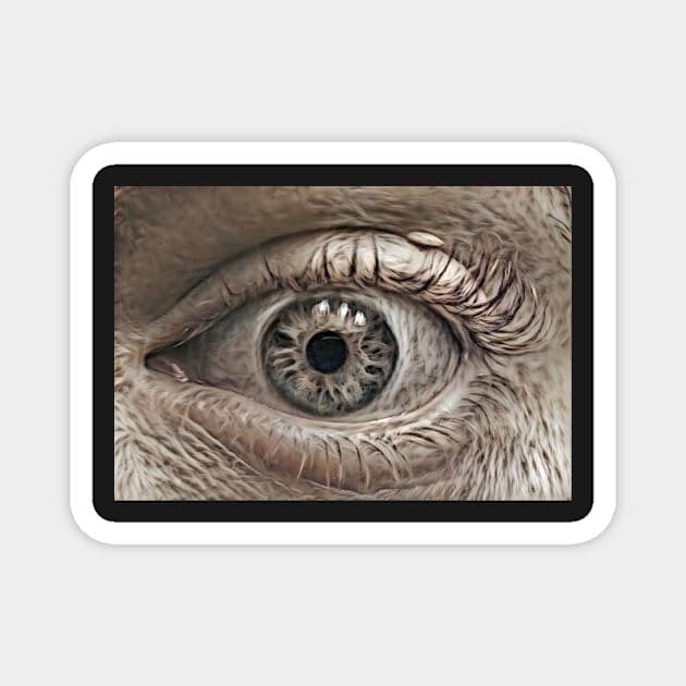 Furry Eye of Lunacy Magnet by Swabcraft