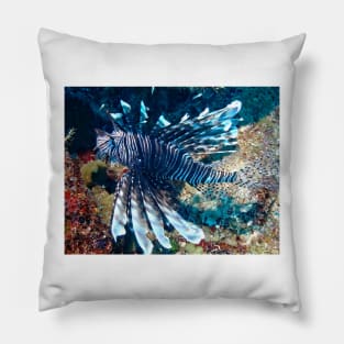 Caribbean Lion Fish at Night Pillow