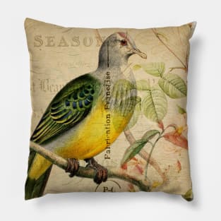 The Pigeon - Vintage French Postcard Pillow