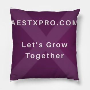 AESTXPRO Pillow