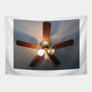 literally just a picture of my ceiling fan Tapestry