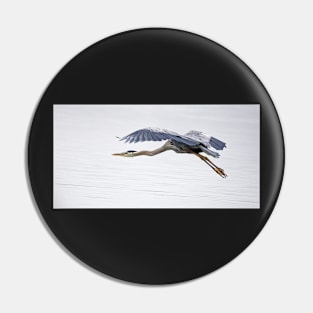 Great Blue Heron on Calm Waters Pin