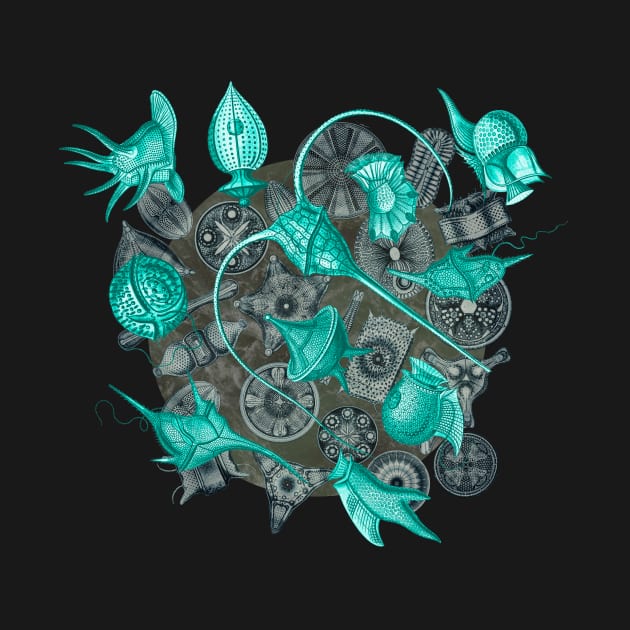 Ernst Haeckel Aqua Peridinea on Cerulean Diatoms by Scientistudio