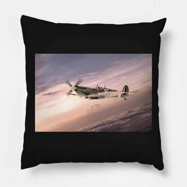 Fighting Grace Pillow by aviationart