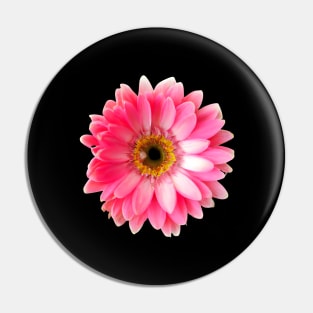 A Resplendent Gerbera Pin