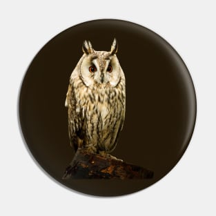 Long Eared Owl Pin