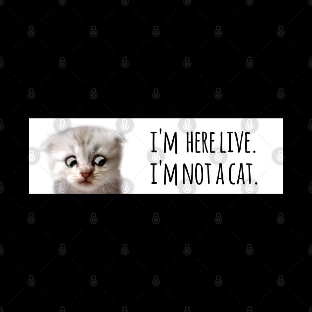 I'm here live. I'm not a cat. by Ofeefee