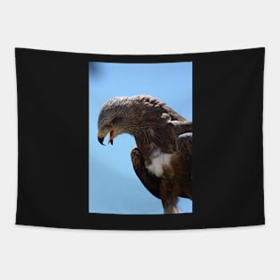 Red Tailed Hawk Tapestry