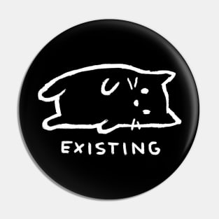 Existing Pin