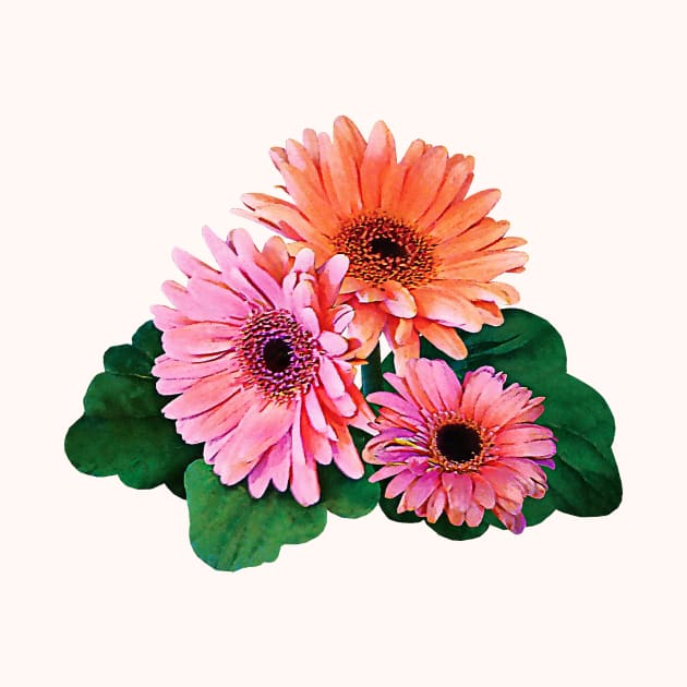 Pink and Orange Gerbera Daisies by SusanSavad