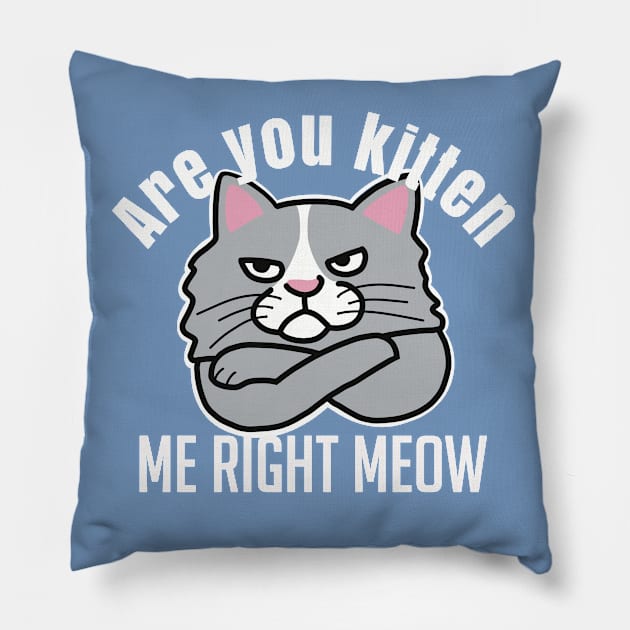 Are You Kitten Me Right Meow Pillow by Punful