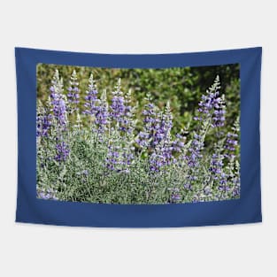 Flowers, purple lupines, nature, gifts, Violet Sublime Tapestry