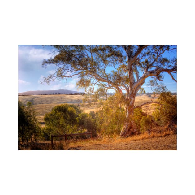 This is Australia - Kanmantoo, The Adelaide Hills, South Australia by Mark Richards