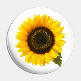 Sunflower Pin