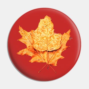 Leaves Pin