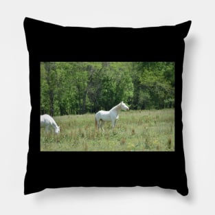 Wild Horse Pillow