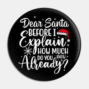 DEAR SANTA BEFORE I EXPLAIN HOW MUCH DO YOU KNOW Pin