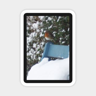 Snowy Christmas Red Robin Magnet