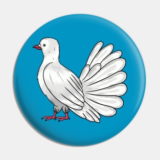 Fantail pigeon bird cartoon illustration Pin