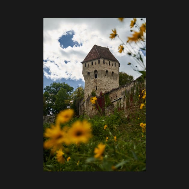 The medieval fortress by naturalis