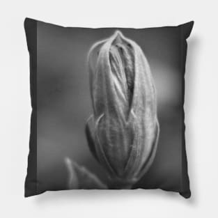 Closeup of Hibiscus Bud in Black and White Pillow