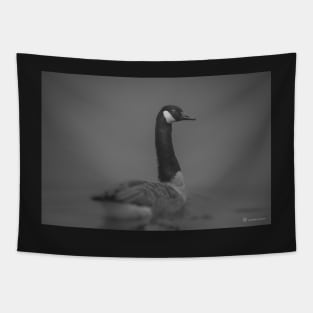 Branta canadensis Tapestry