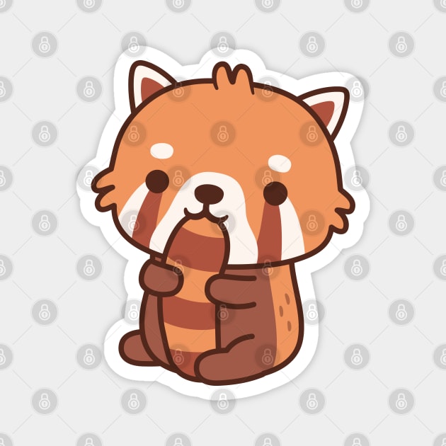 Cute Red Panda Biting On Its Tail Magnet by rustydoodle