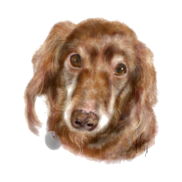 Happy Long Hair Dachshund Pup by LITDigitalArt