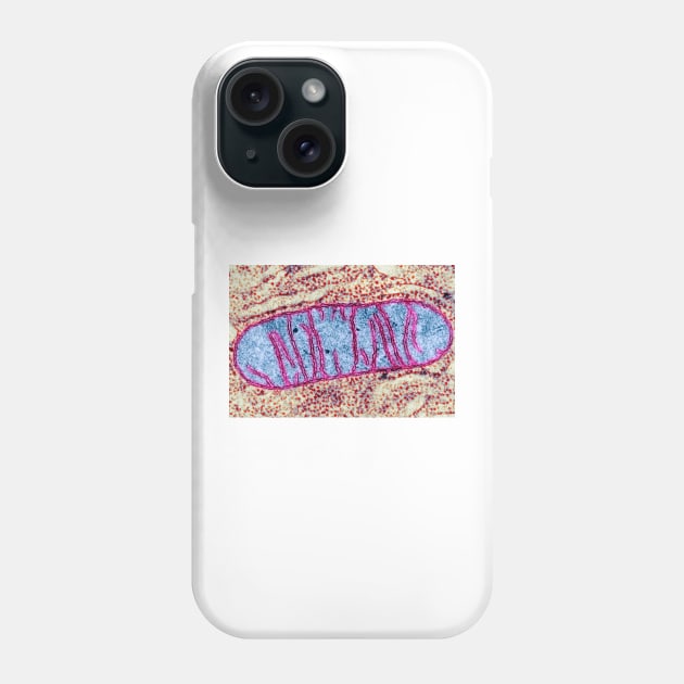 Mitochondrion, TEM (G465/0069) Phone Case by SciencePhoto