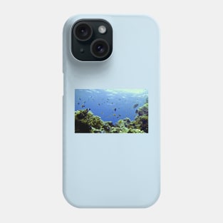 FINDING DORY IN THE WILD! Phone Case