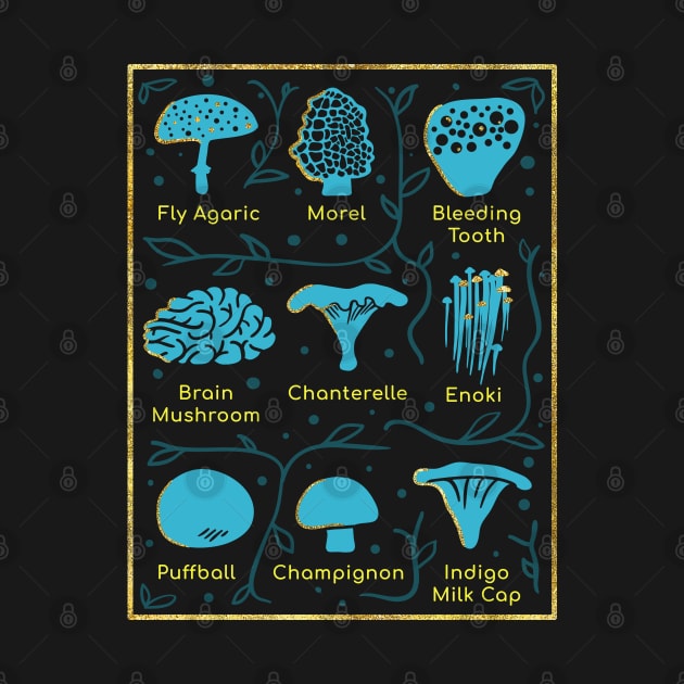 Types of Mushrooms by Wlaurence