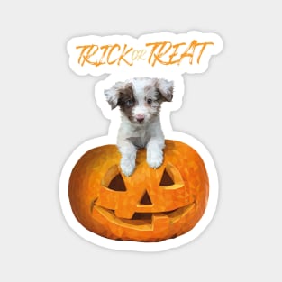 Halloween Dog Magnet