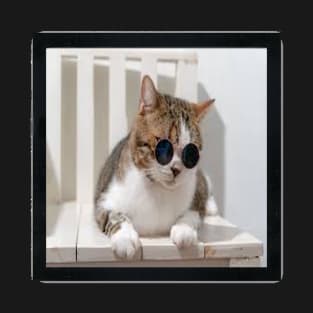 bespectacled cat T-Shirt